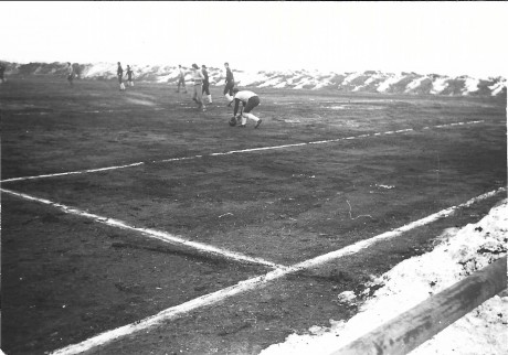 Obrázek (83)